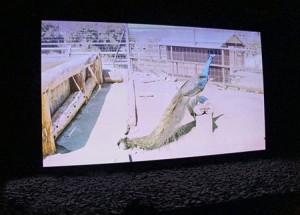 panasonic-8k-televizyon