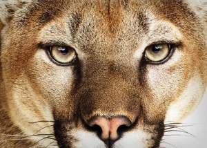 Mac OS X Mountain Lion indir