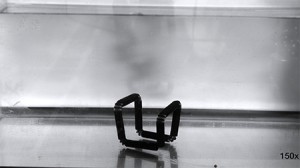 4d