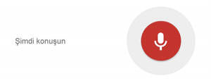 google_sesli_arama